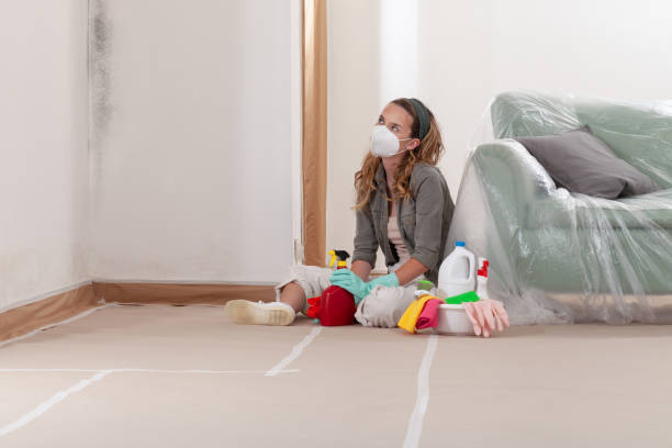 Reliable Black Mold Removal contractor in Somerset, NJ by WQB Mold Removal